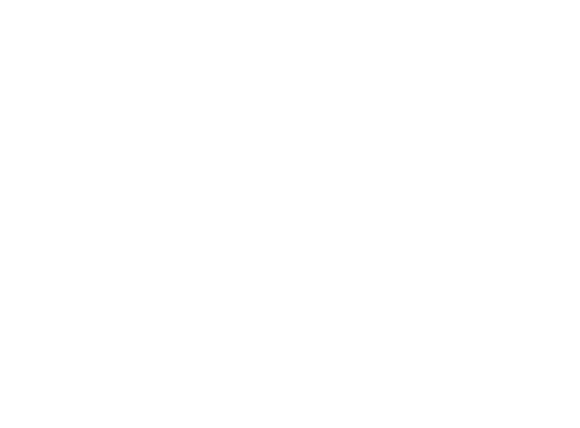 Logo Phenix