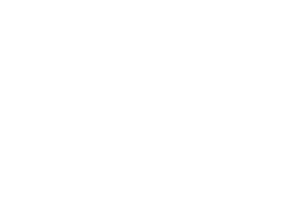 Logo Snowlife